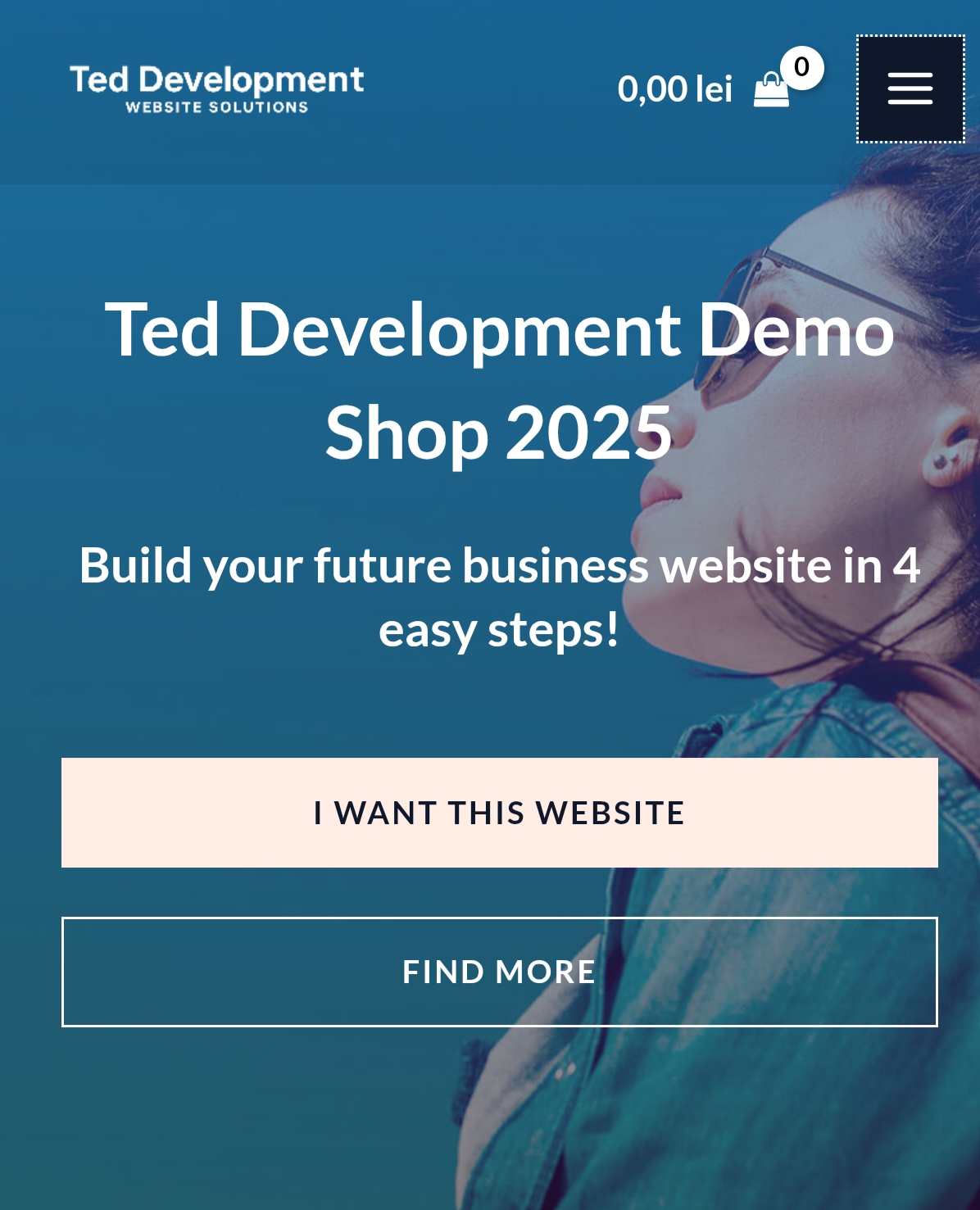 Screenshot of our WordPress Demo website